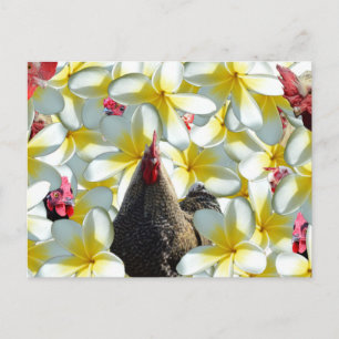 Rooster und Frangipanis, Postkarte