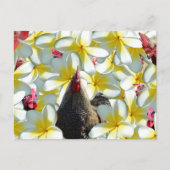 Rooster und Frangipanis, Postkarte (Vorderseite)