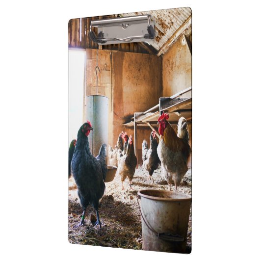 Rooster und Hühner in Barn Klemmbrett (Links)
