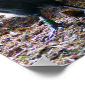 Rooster und Hühner in Barn Poster (Ecke)