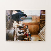 Rooster und Hühner in Barn Puzzle (Horizontal)