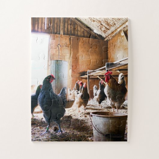 Rooster und Hühner in Barn Puzzle (Vertikal)