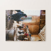 Rooster und Hühner in Barn Puzzle (Horizontal)