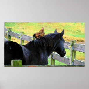 Rooster und Mare Poster