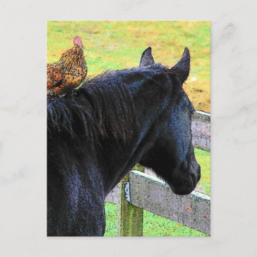 Rooster und Mare Postkarte (Vorderseite)
