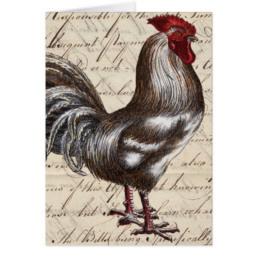 Rooster und Vintag Ephemera Blank All Occasons (Vorne)