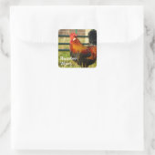 Rooster Vibes Farm Life Quadratischer Aufkleber (Tasche)