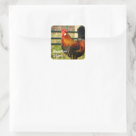 Rooster Vibes Farm Life Quadratischer Aufkleber (Tasche)