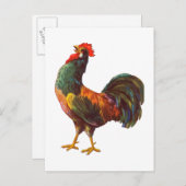 Rooster Vintag Kitchrate Art Postkarten (Vorne/Hinten)
