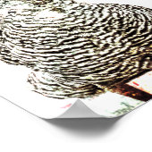 Rooster Vintage Farm Antique White Texture Country Poster (Ecke)