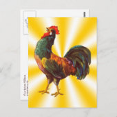 Rooster Vintage Postkarten für benutzerdefinierte  (Vorne/Hinten)