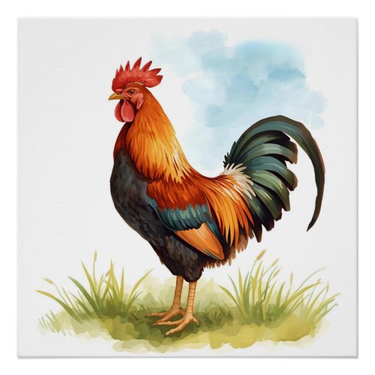 Rooster Watercolor Poster (Vorderseite)