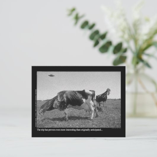 Roostercows Postkarte (Stehend Vorderseite)