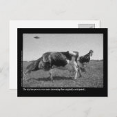 Roostercows Postkarte (Vorne/Hinten)