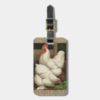 Roosters & Hen außerhalb von Hen House mit weißer 