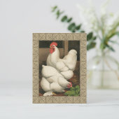 Roosters & Hen außerhalb von Hen House mit weißer Postkarte (Stehend Vorderseite)