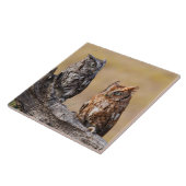 Roosting der Osterschnecke in Bäumen Fliese (Seite)