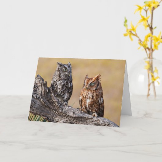 Roosting der Osterschnecke in Bäumen Karte (Gelbe Blume)