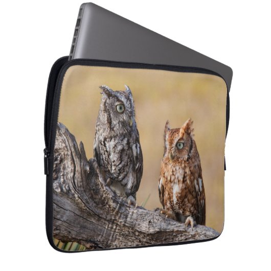 Roosting der Osterschnecke in Bäumen Laptopschutzhülle (Vorne Rechts)