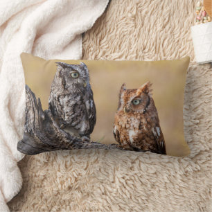 Roosting der Osterschnecke in Bäumen Lendenkissen