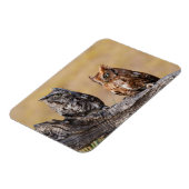 Roosting der Osterschnecke in Bäumen Magnet (Linke Seite)