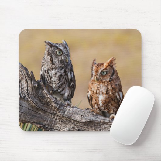Roosting der Osterschnecke in Bäumen Mousepad (Mit Mouse)