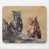 Roosting der Osterschnecke in Bäumen Mousepad (Vorne)