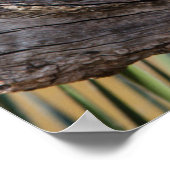 Roosting der Osterschnecke in Bäumen Poster (Ecke)