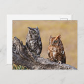 Roosting der Osterschnecke in Bäumen Postkarte (Vorne/Hinten)