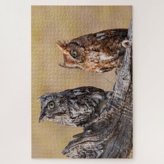 Roosting der Osterschnecke in Bäumen Puzzle (Vertikal)