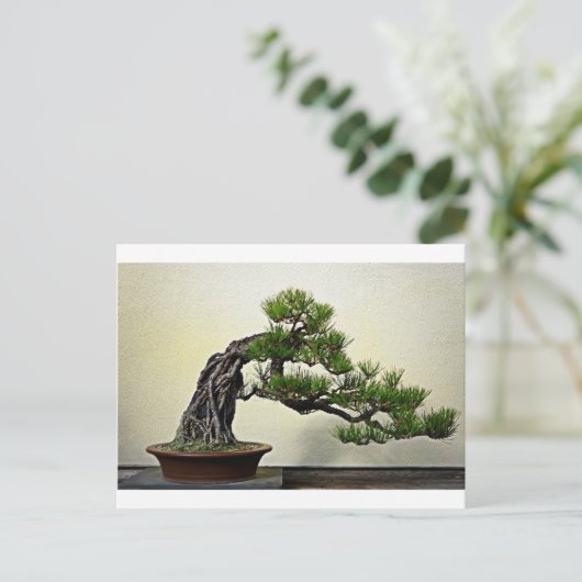 Root Over Rock Pine Bonsai Tree Postkarte (Stehend Vorderseite)