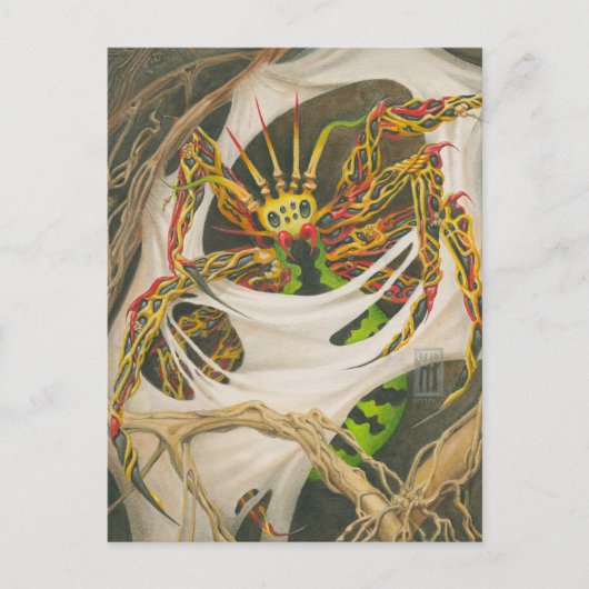 Root Spider Postkarte (Vorderseite)