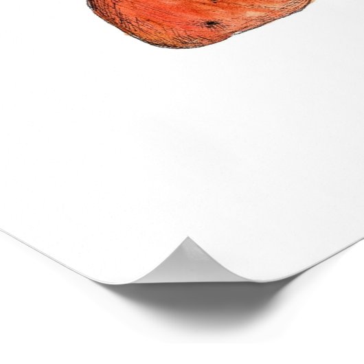 Root Vegetables Aquarell Küche Poster (Ecke)