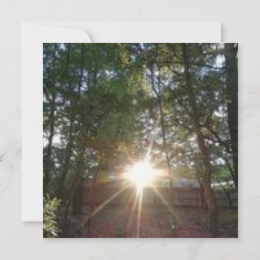 Rooted - Gedichtkarte des Gebets (Rückseite)