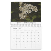 Rooted & Wild Nature 2022 Kalender (Feb 2027)