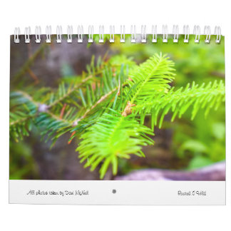 Rooted & Wild Nature 2022 Kalender