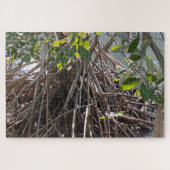 Roots Alaminos Mangrove Puzzle (Horizontal)