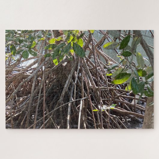 Roots Alaminos Mangrove Puzzle (Horizontal)