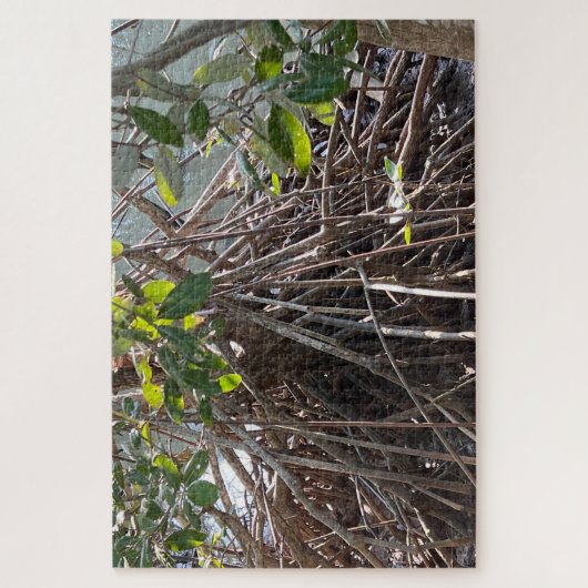 Roots Alaminos Mangrove Puzzle (Vertikal)