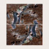 "Roots" Gnarled Trees, Pine Needles, Forest Floor (Außenseite Aufgefaltet)