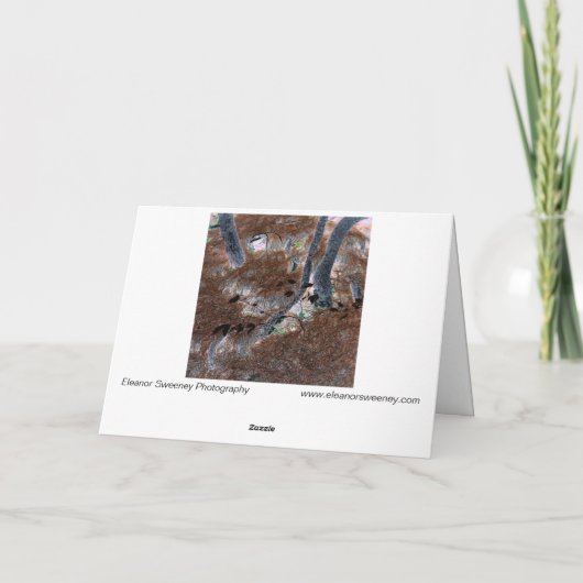 "Roots" Gnarled Trees, Pine Needles, Forest Floor Karte (Rückseite)