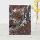 "Roots" Gnarled Trees, Pine Needles, Forest Floor Karte (Gelbe Blume)