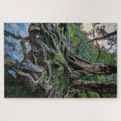 Roots of Time Puzzle (Horizontal)