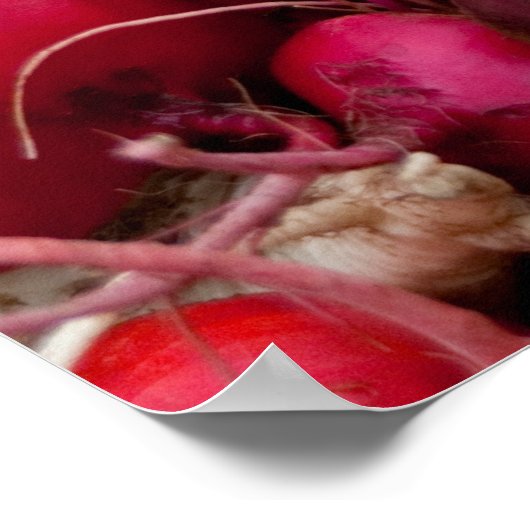 ROOTS! POSTER (Ecke)