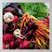 ROOTS! POSTER (Vorne)