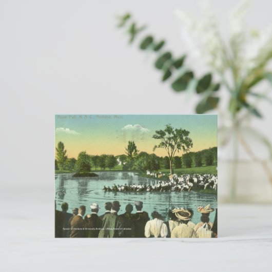 Rope Pull, Campus Pond Postkarte (Stehend Vorderseite)