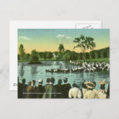 Rope Pull, Campus Pond Postkarte (Vorne/Hinten)