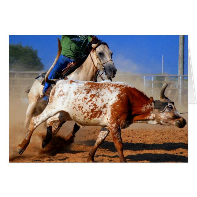Roping (Vorderseite (Horizontal))
