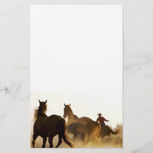 roping Cowboy stationär Briefpapier