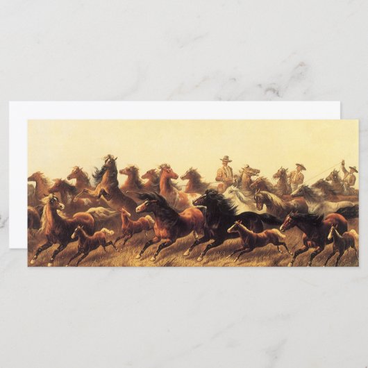 Roping Wild Horses von James Walker (Vorne/Hinten)